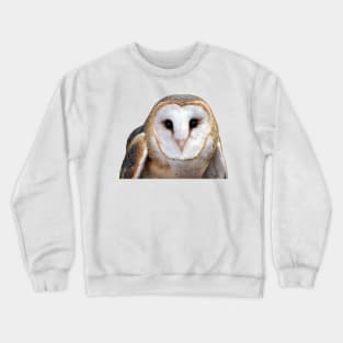 Barn Owl Photo Crewneck Sweatshirt